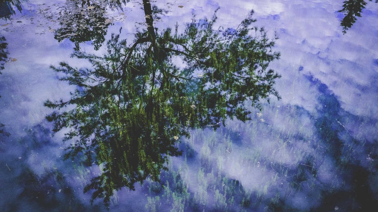 ফিরহাদের সঙ্গে সাক্ষাত নিয়ে রহস্যঘন মন্তব্য ঋতব্রতর