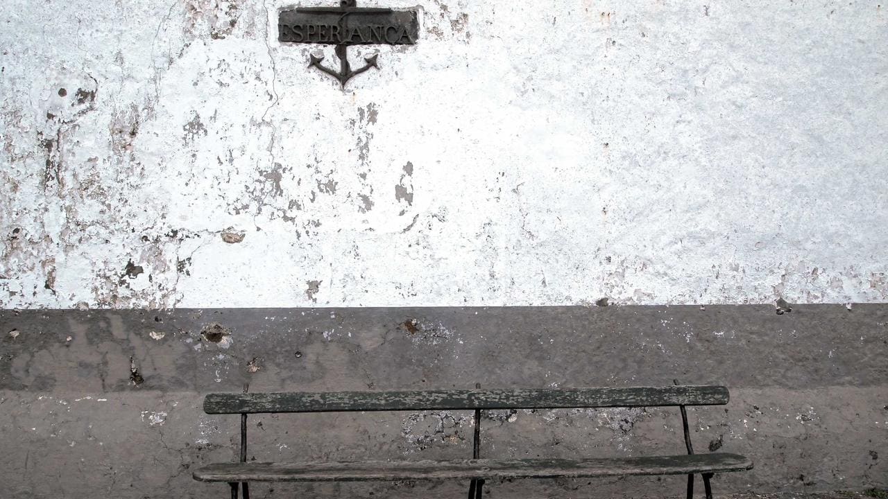 নেদারল্যান্ডসেও পৌঁছে গেল বাংলার ‘ঝালমুড়ি’ বিতর্ক! বিদেশ সফরেই নির্বাচনী লড়াইয়ের সুর প্রধানমন্ত্রী মোদীর