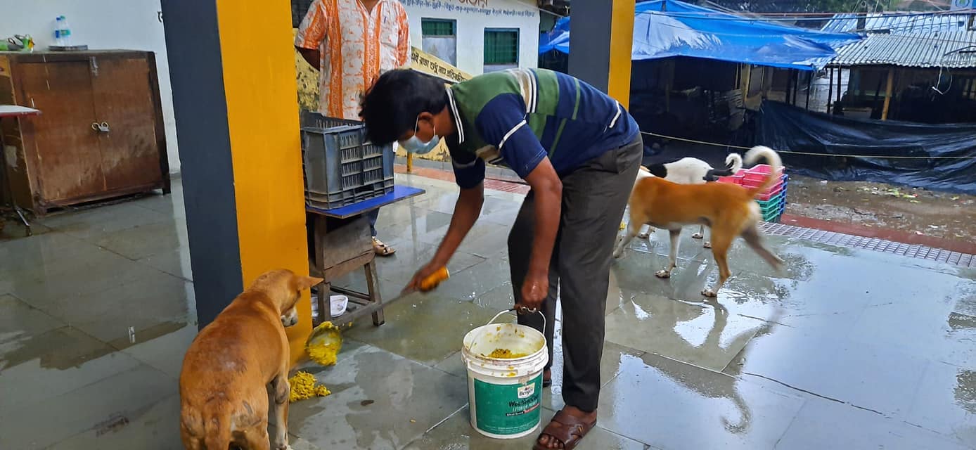 ৫৫ তম দিন(Food Bank) সারমেয়- র জন্য