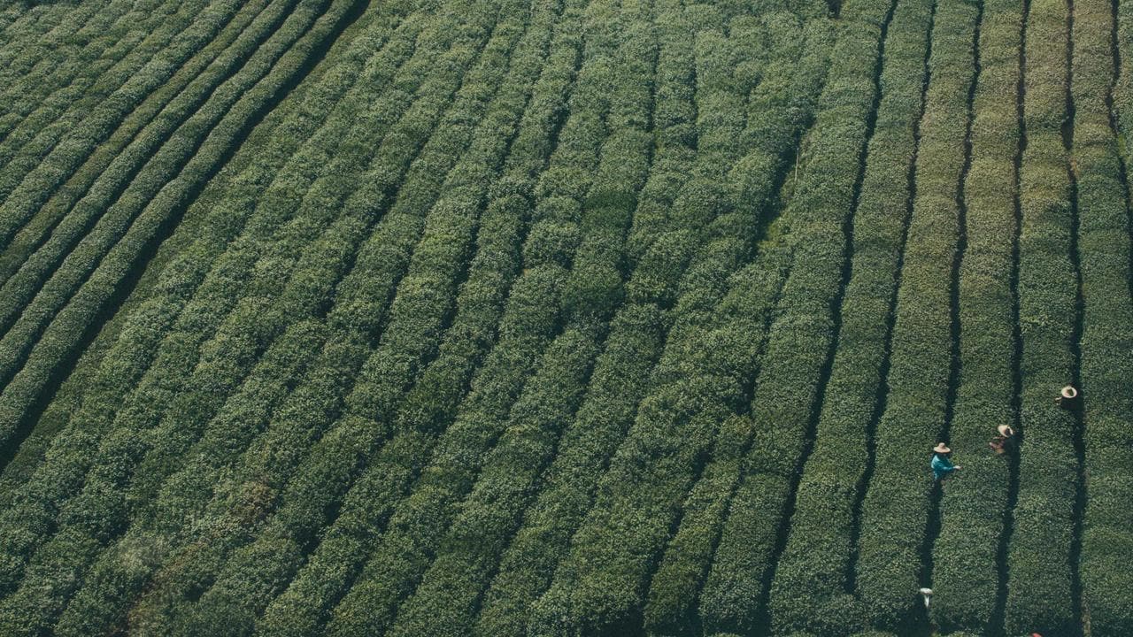 হাওড়ার জেলা‑ব্লক টাটকা সংবাদ — লাইভ আপডেটের সঙ্গে বিশ্লেষণ